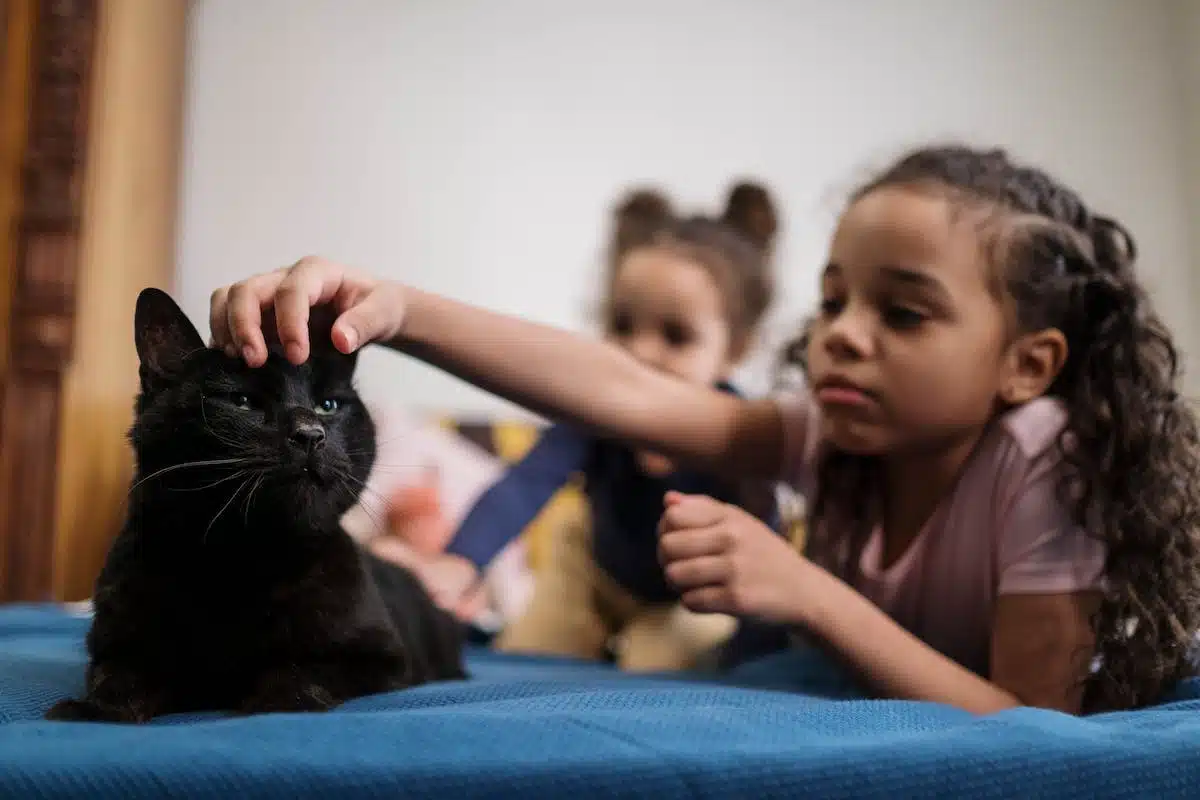 chats enfants