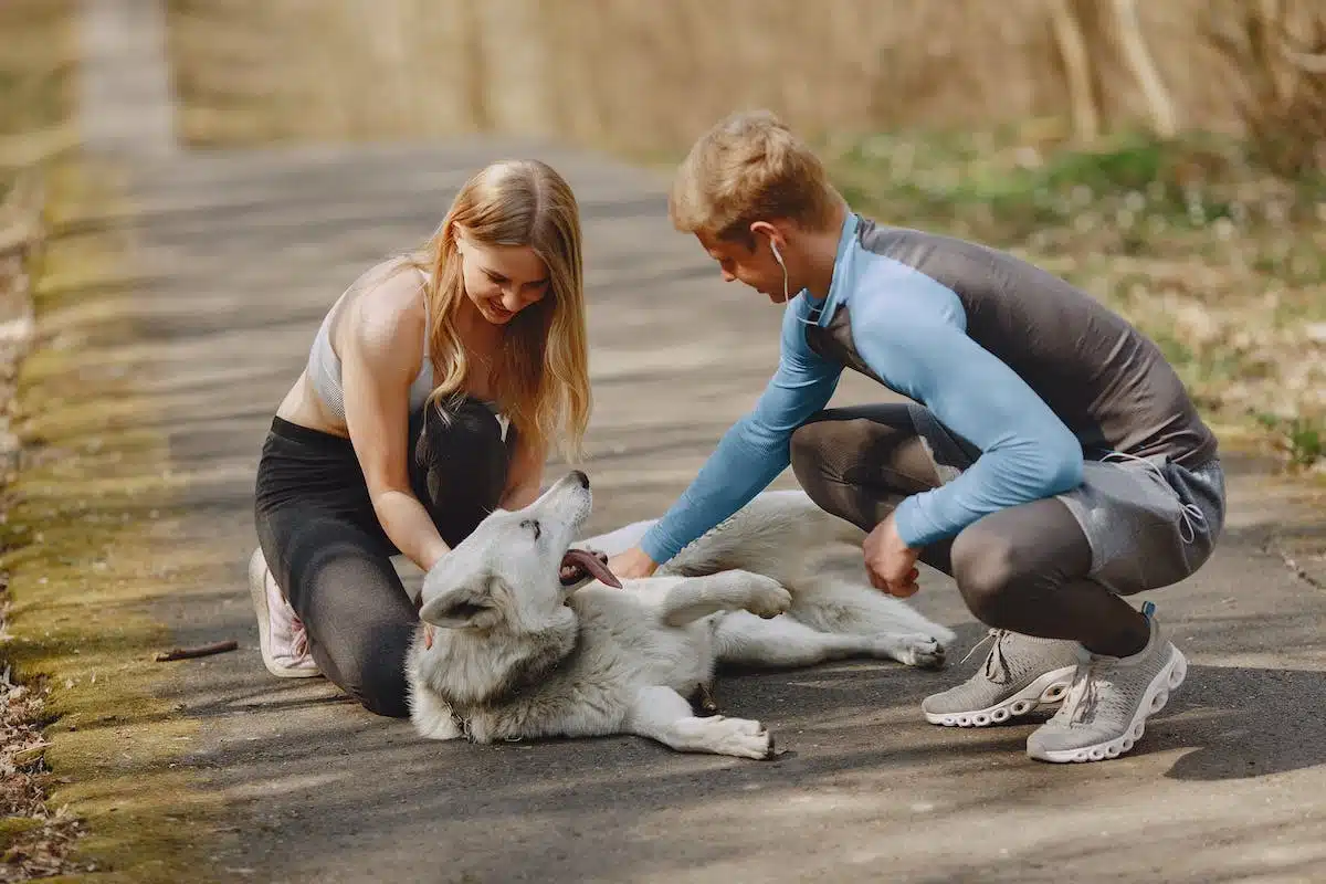 éducation animaux