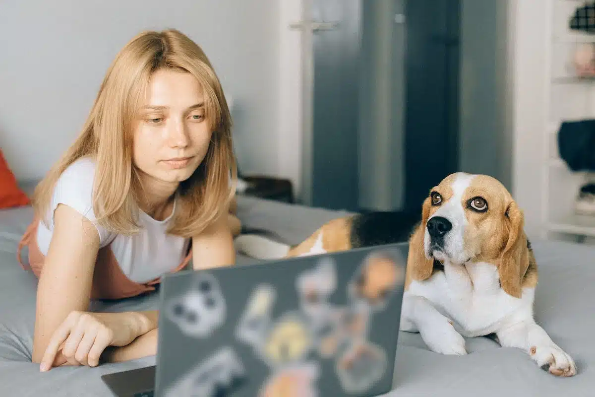 animaux  communication