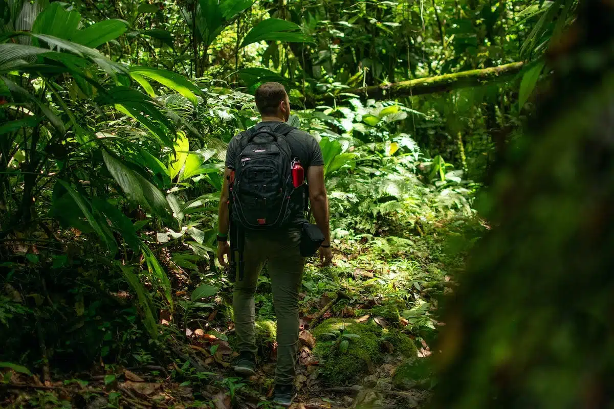 préservation biodiversité