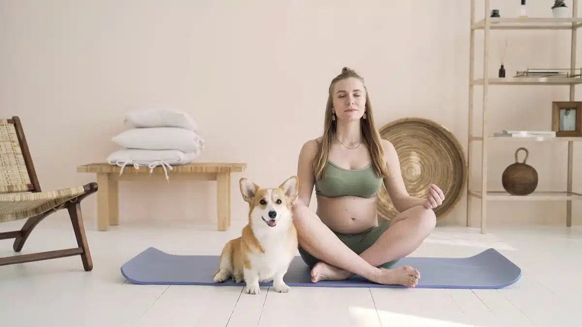 méditation  animaux