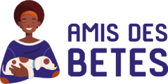 Amis des bêtes