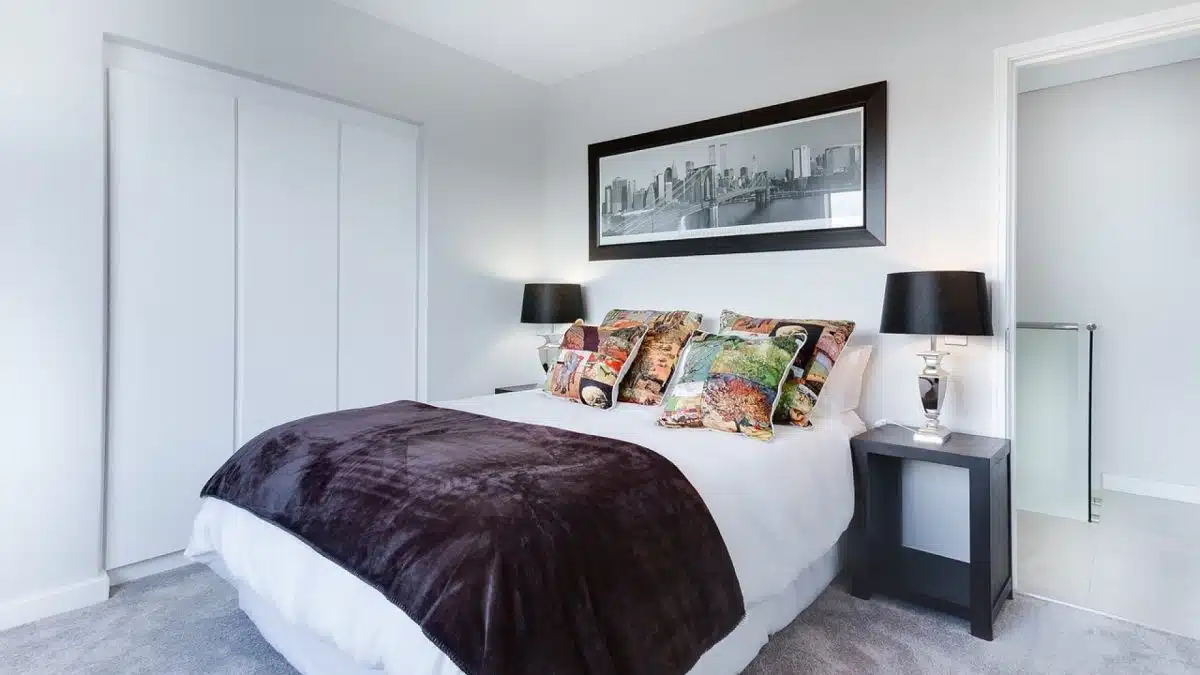 Comment se débarrasser des punaises de lit ? Guide complet...